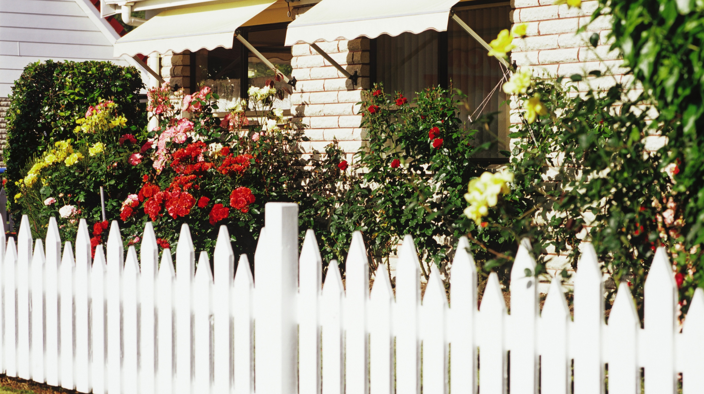 DIY vs Professional Fence Installation: Which Is Right for You?