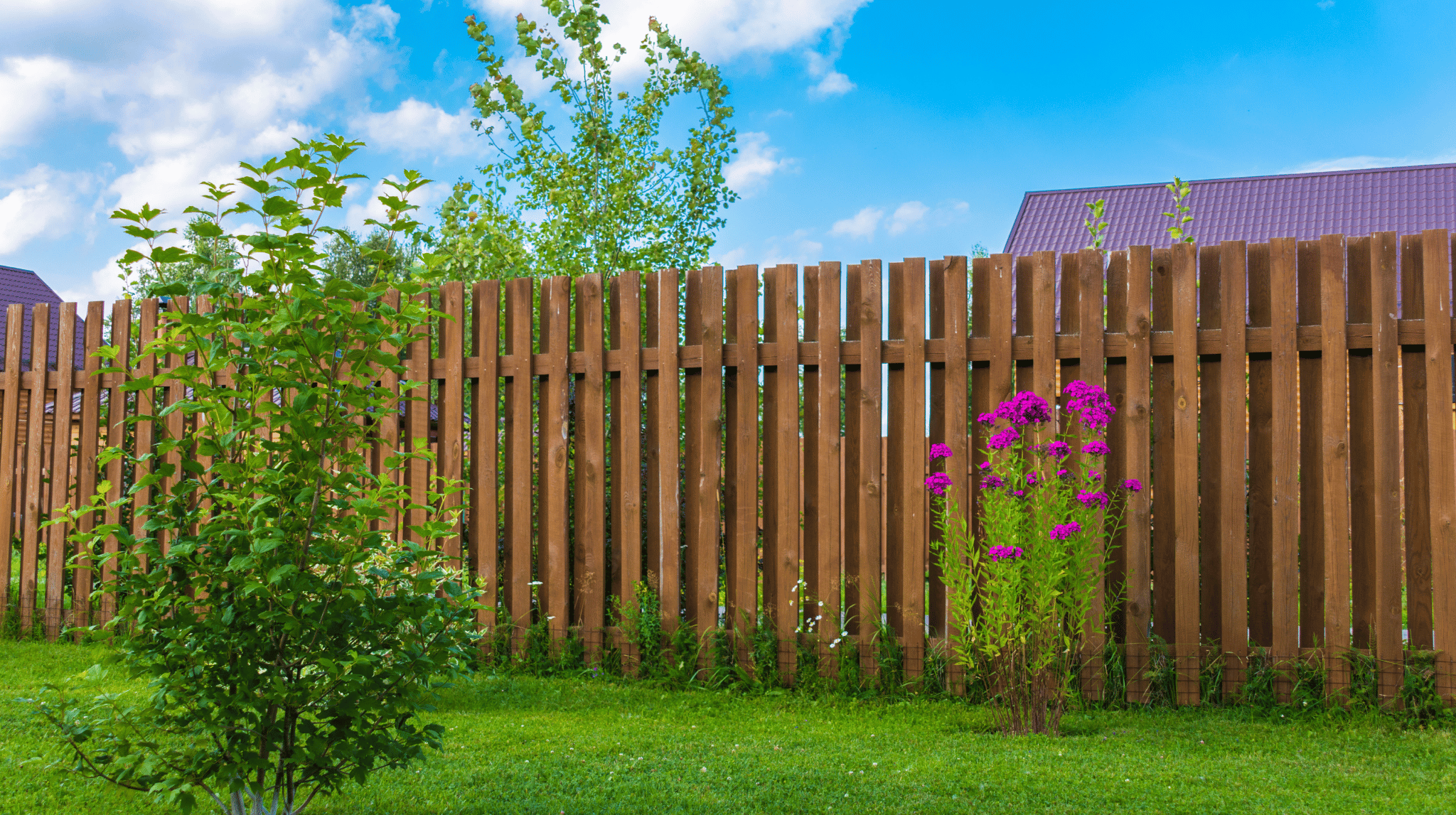 How to Choose the Best Material for Your Fence